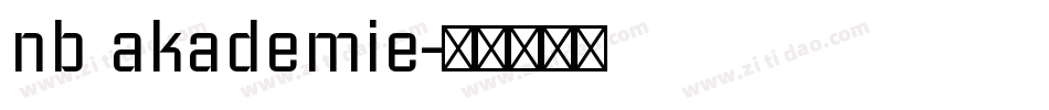 nb akademie字体转换